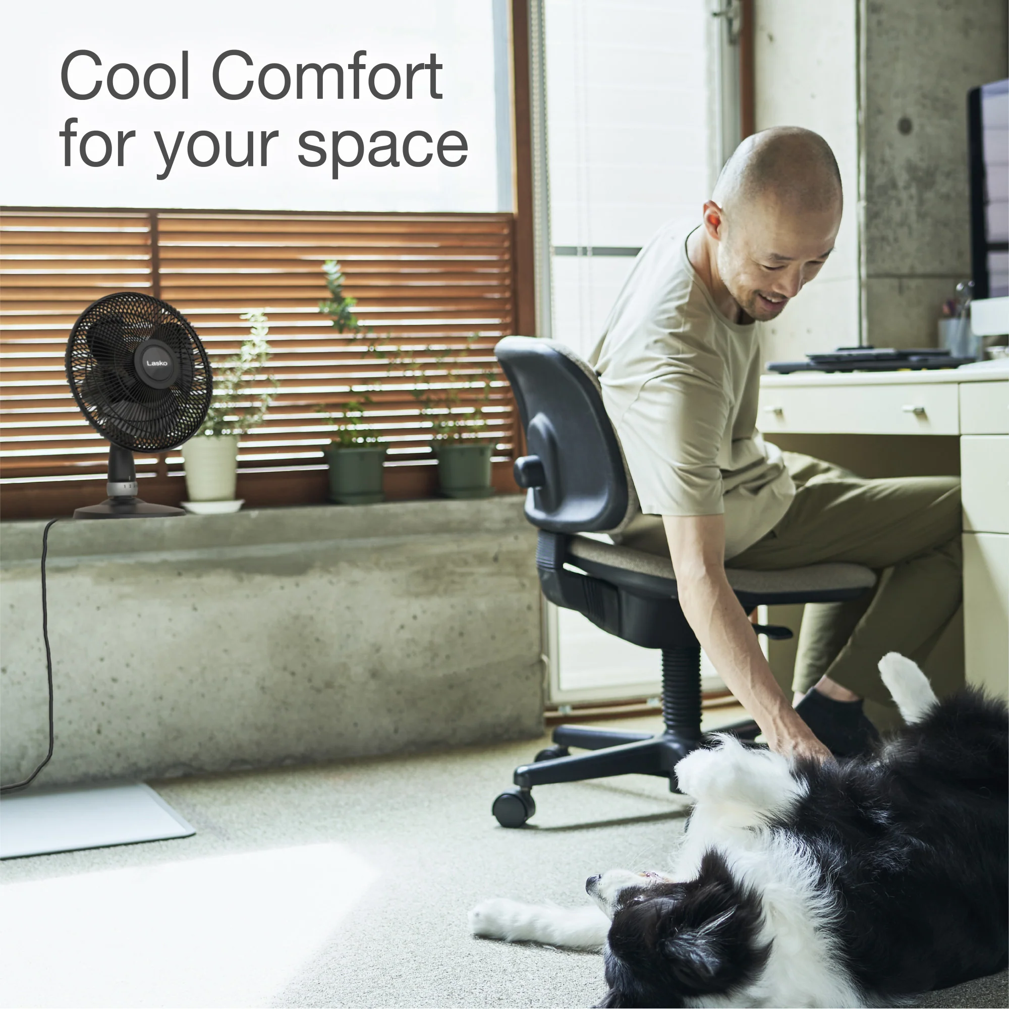 Lasko 12" Performance Table Fan: Oscillating, 3-Speed, Tilting Head, Black - Image 3