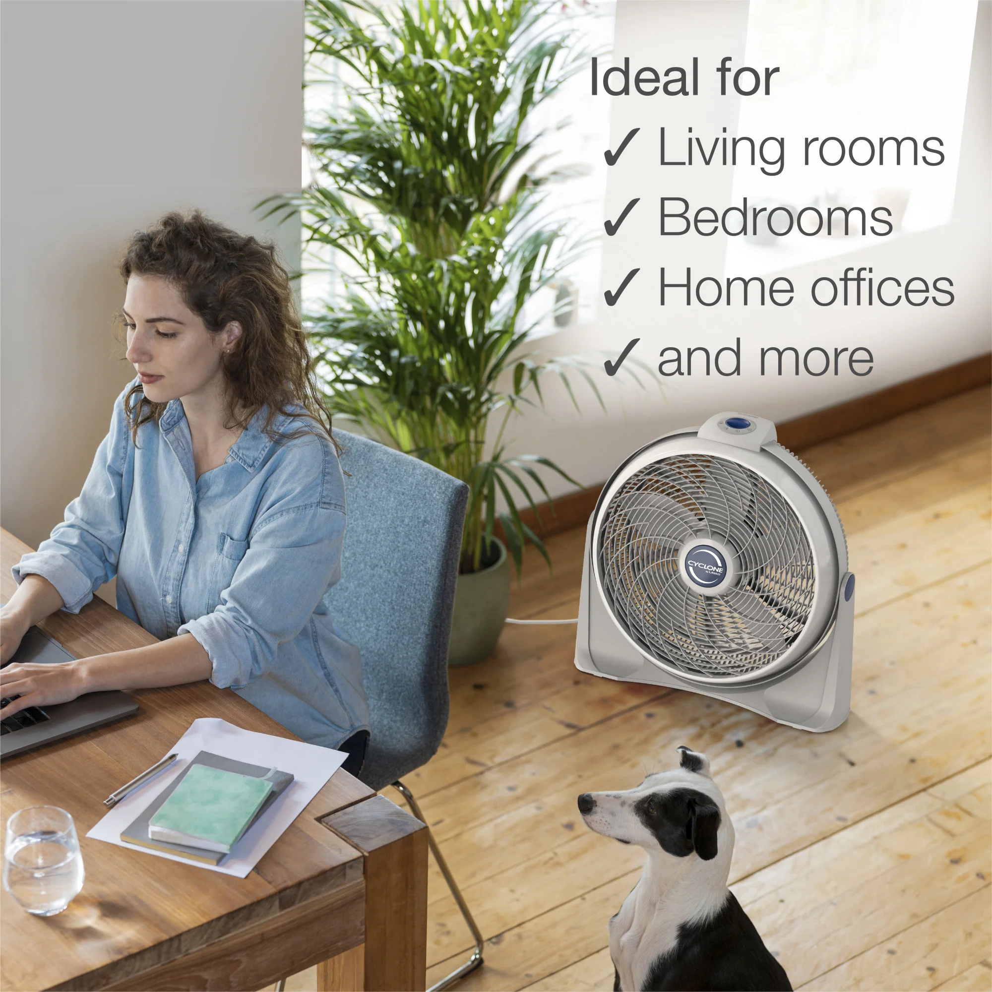 Lasko Cyclone 20" Air Circulator Fan: Wall Mount, 3-Speed, Pivoting, White - Image 5